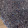 Tapis bleu marine / brun Billie-Joe