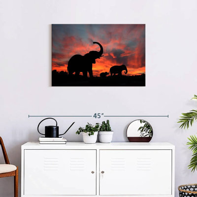 Elephant Silhouette Sunset