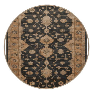 Machine Washable Overdyed Brown Area Rug