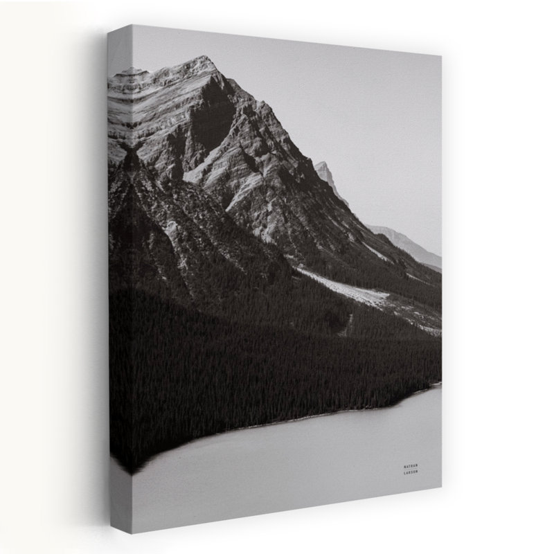 «Mountain Mamma Bw Abstract Contemporary Forest Landscape», reproduction d'art murale, H 24 po x l 16 po