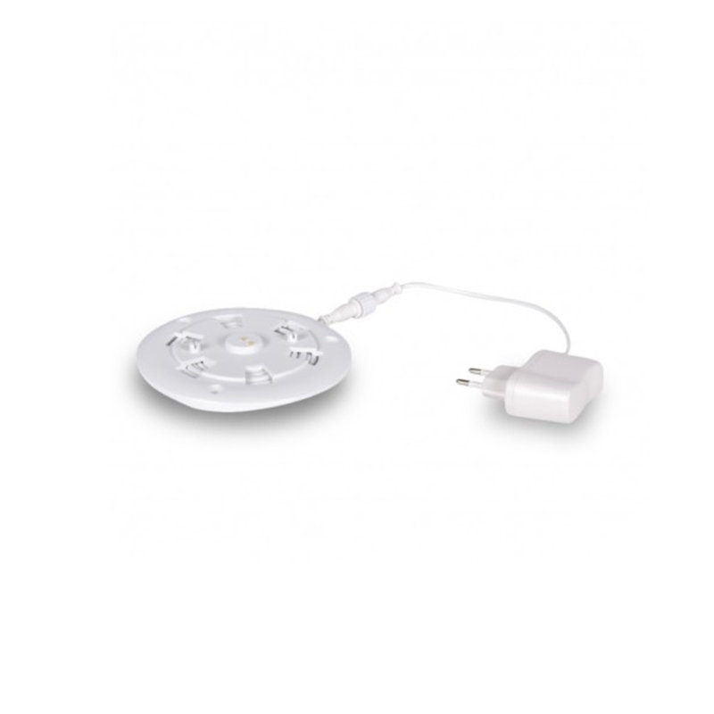 Cord or Cable