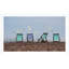 Four Chairs And Four Seagulls Giclee Print