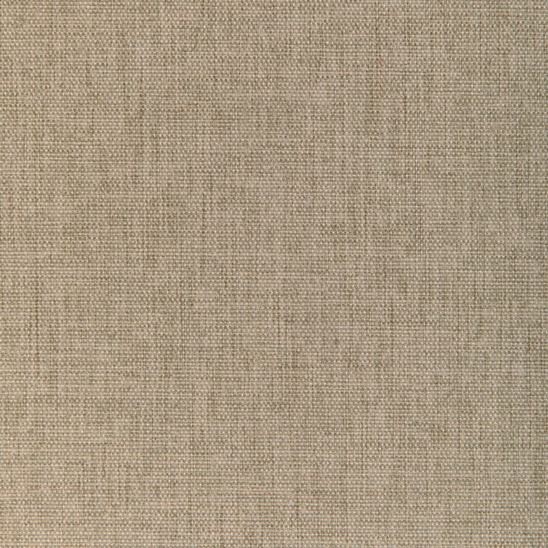 Kravet Contract - 90001-35, Taupe
