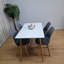 Zane 4 Person Modern Dining Table Set-183321891-183321892