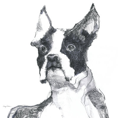 Ulysses Sitting Pretty by Avery Tillmon - Wrapped Canvas Print