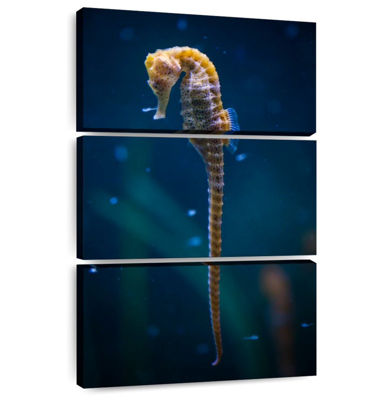 Brampt Long Tailed Seahorse, 65" H x 42" W