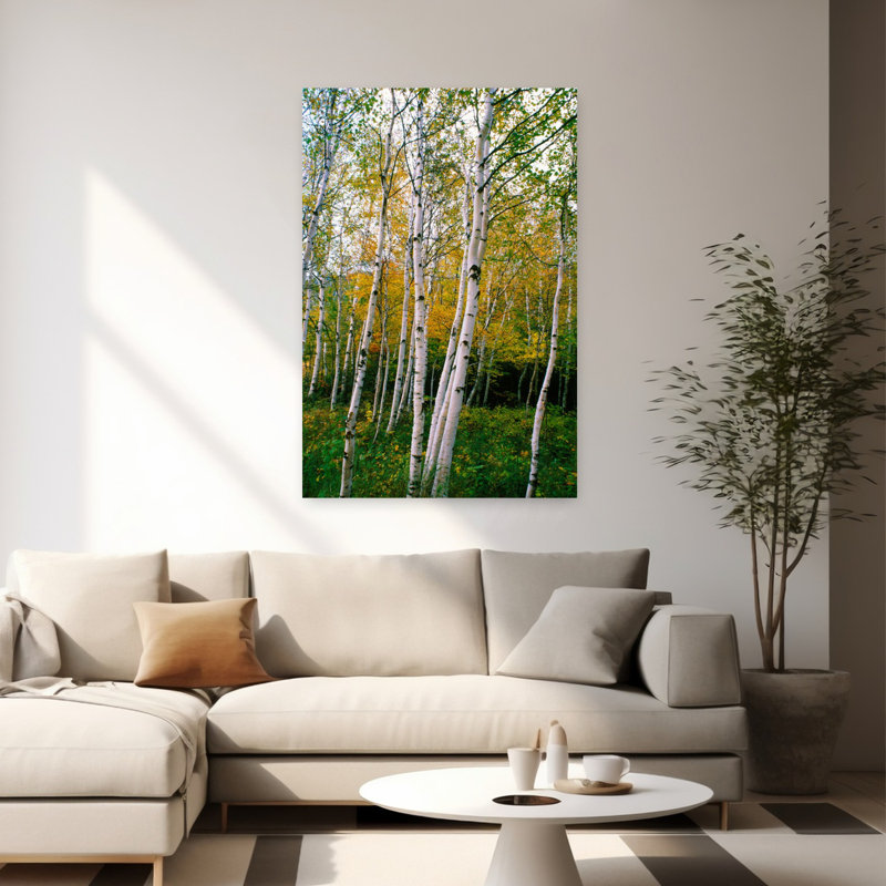 Support de bouleaux blancs, art abstrait de forêt d'automne contemporain, H 60 po x l 40 po