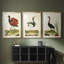 Heron Portrait IV - reproduction encadrée sur mesure de qualité supérieure mate - 3 pièces-1020655653-1020655651