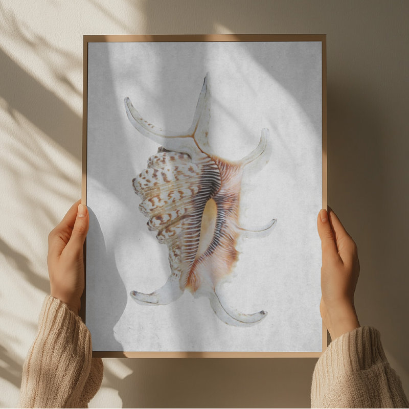 Wrapped Canvas Print, 60.96 cm H x 91.44 cm W
