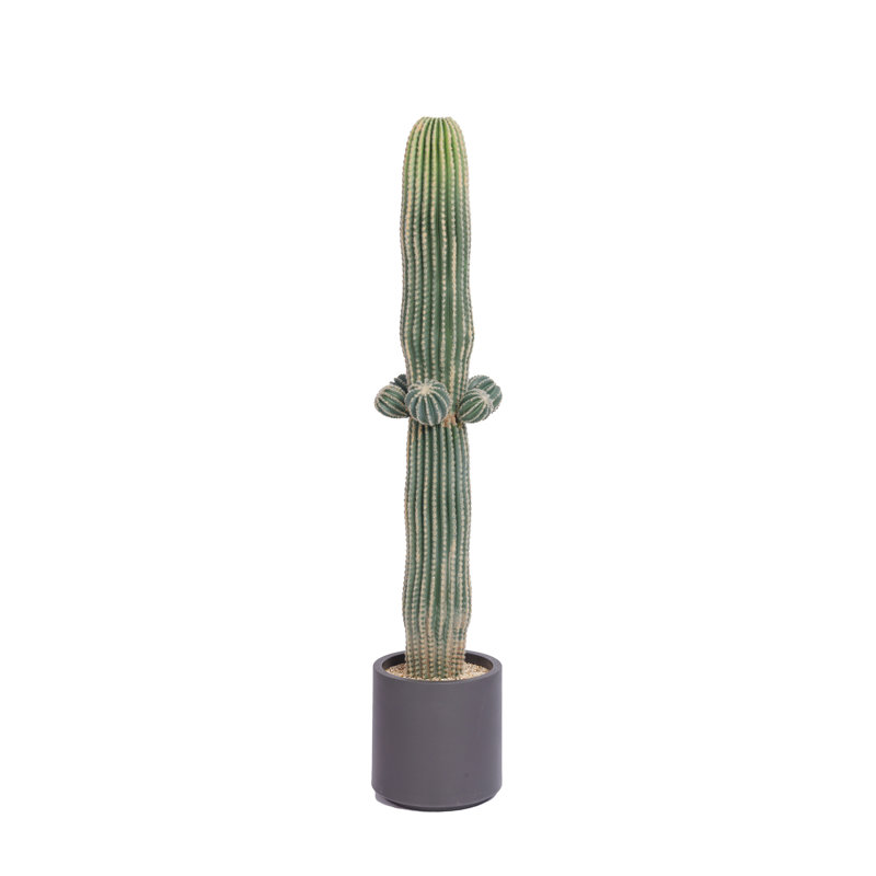 Keper 54.34'' Faux Cactus Tree in Pot
