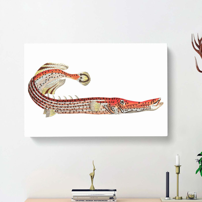 Chinese Trumpet-fish by George Shaw - Wrapped Canvas Painting, 35cm H x 50cm W x 3cm D