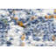 Abbingt Machine Woven Blue Indoor Rug-61051216