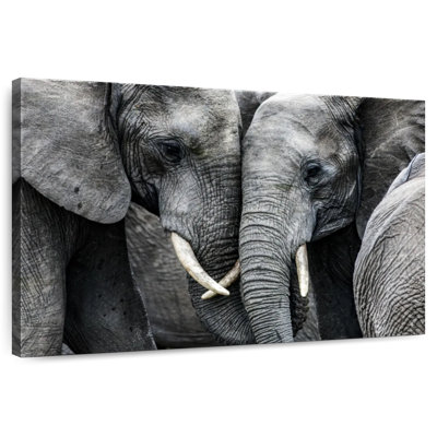 Brampt Sweet Elephants