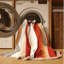 Tapis Winding Ascent-1112426276
