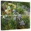 Haris iris et marguerites Oxeye