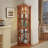 Corner Lighted Glass Cabinet with Adjustable Shelves-1604443196