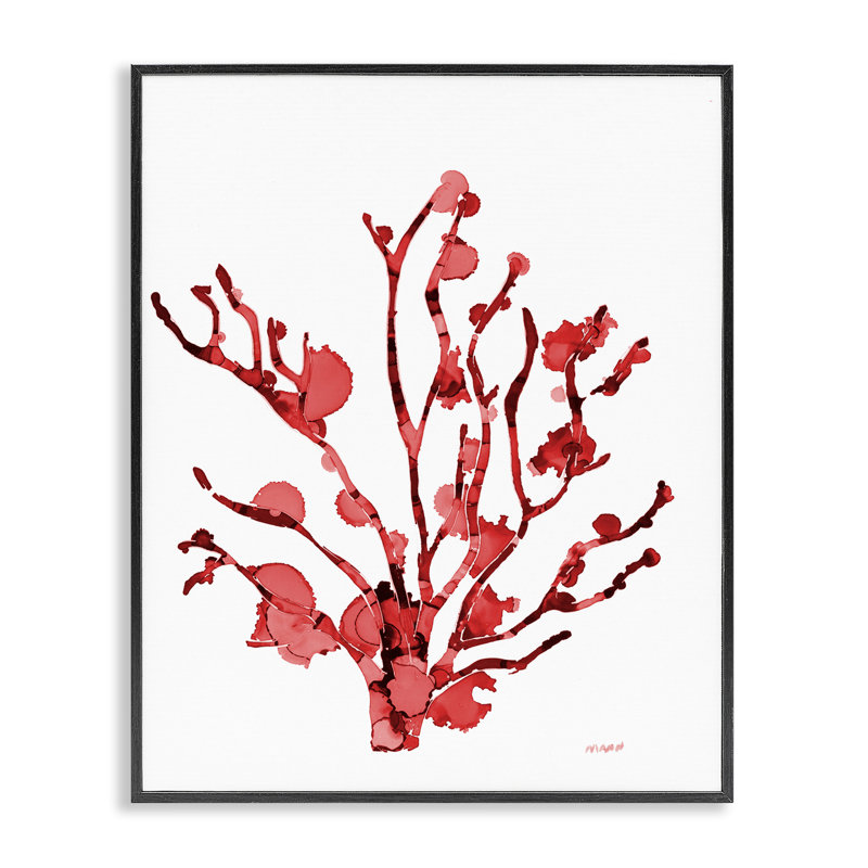 Corail avec éclaboussures, art de la giclée encadrée par Patti Mann, H 14 po x l 11 po, Giclée encadrée noir minuit