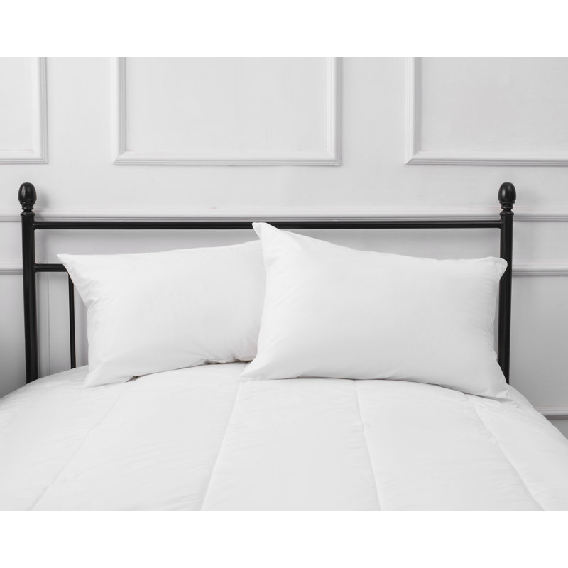  Pillow Protector Dodd, King
