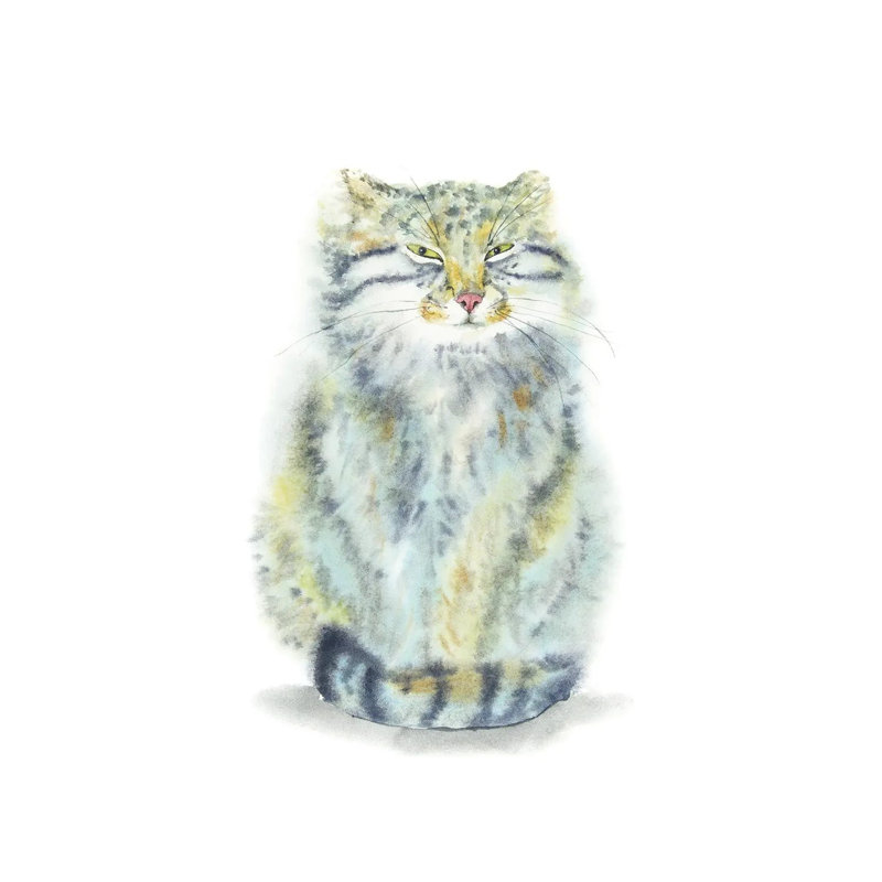 «Tricky Manul» par Alexey Dmitetchich Shmyrov - reproduction, H 18 po x l 12 po x 1,5 po