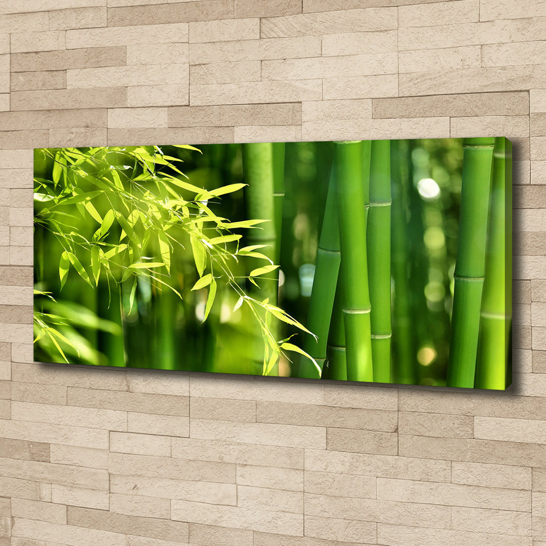 Bamboo - Kunstdrucke auf Leinwand