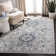 Cherine Garden Viscose Oriental Rug