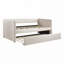 Lit de jour avec lit gigogne 1Pc-107123727