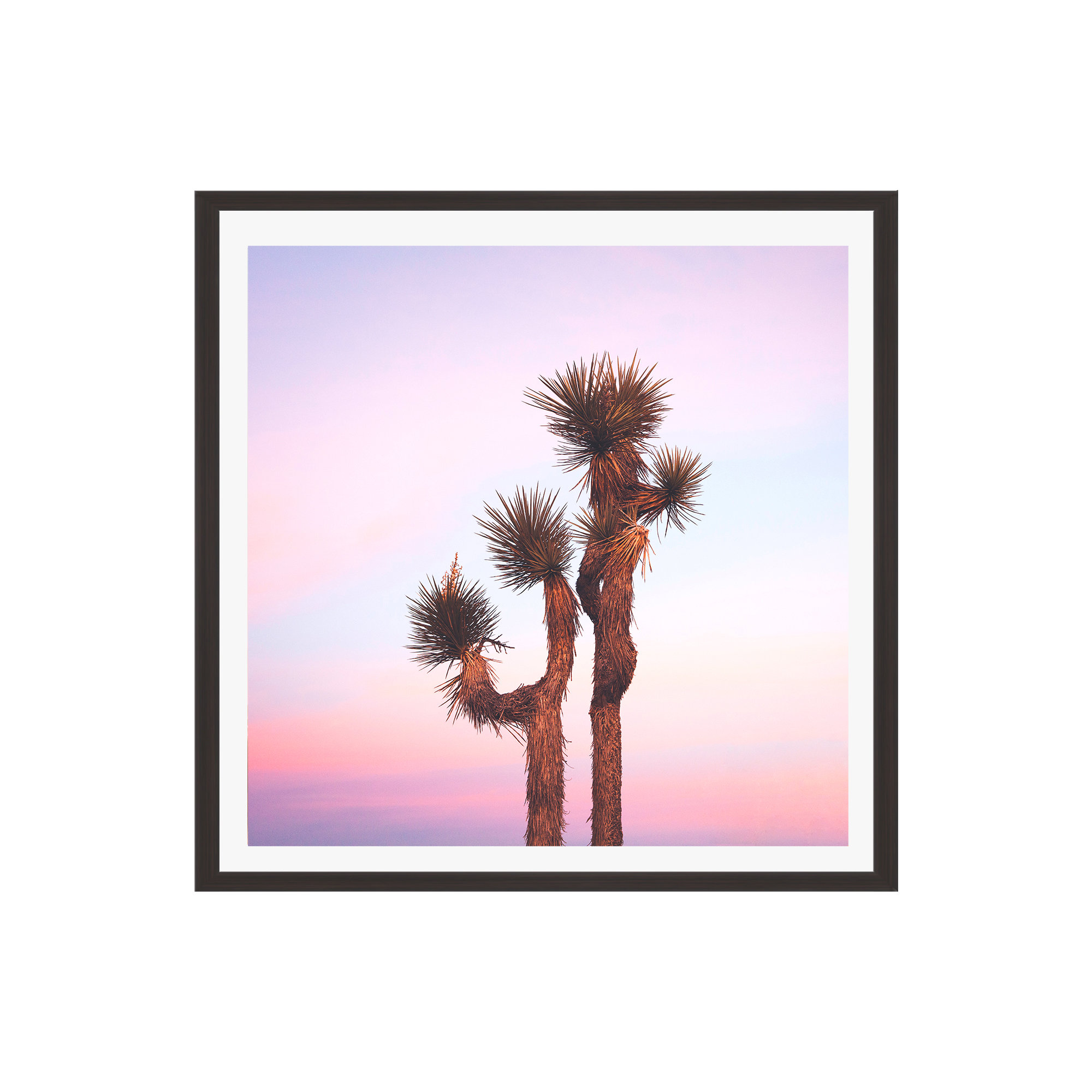 Desert Skies by Catherine McDonald, Espresso Single Picture Framed, 12" H x 12" W x 0.75" D, Yes