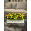 Kalanchoe Arrangement in Fiberstone Planter-1646607056-1624349390