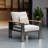 Modern Aluminum Patio Chair with Cushion-259634483