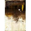 Losing Gravity Print by Leftbank Art-26674409-26674414