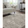 Alayo Machine Woven Indoor Rug