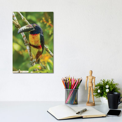 Costa Rica, La Selva Biological Research Station 1 Piece Wrapped Canvas Wall Art