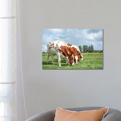 Four Cows On A Row by Clara Bastian - Wrapped Canvas Print