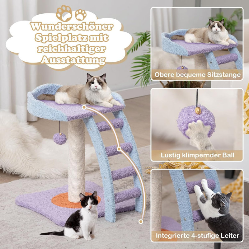 Talmo Cat Perch