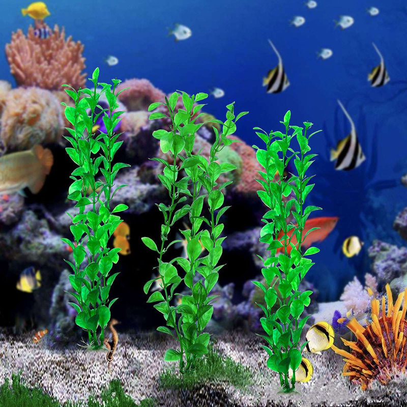 Décoration pour aquarium Eluteria