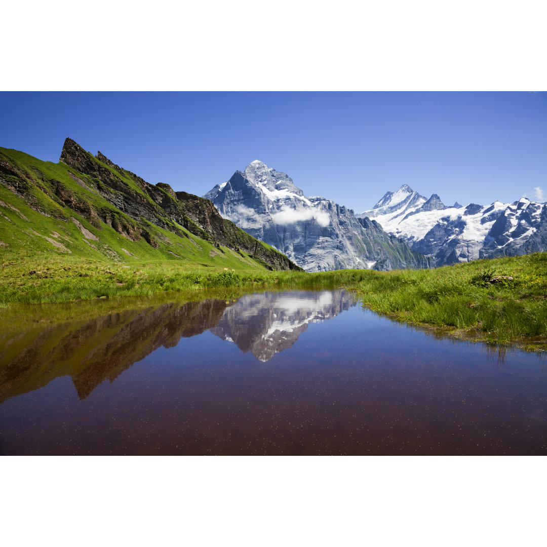 Verschneite Berge von LucynaKoch - Leinwandbild