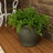 Berlina Round Imperial Ceramic Outdoor Planter - Seafoam - 15"-2096414548-2096375820