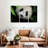 Brampt Panda Surprise-108079133
