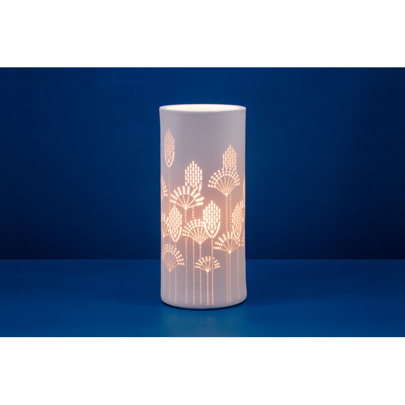 Novelty Lamp