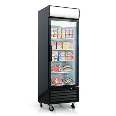 Congélateur de présentation commercial 16 pi. Cu., Simple vitrine à porte vitrée avec lumière DEL, dégivrage automatique et commande numérique pour restaurant
