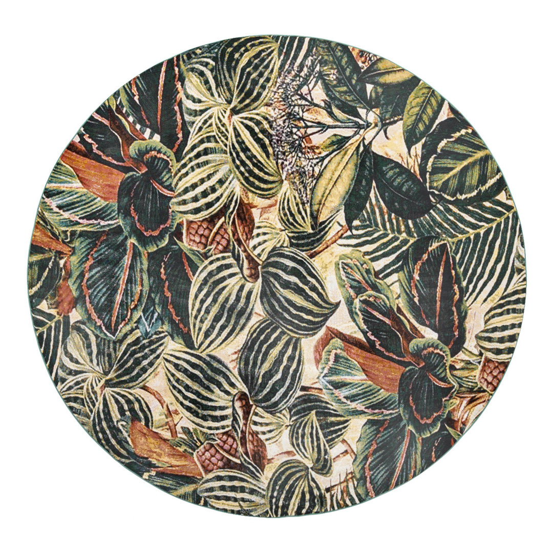 Herlong Floral Indoor Rug Bayou Breeze Rug 