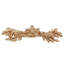 Carlotta Bar / Handle Pull-10365400