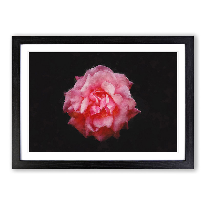 Lone Pink Carnation - Picture Frame Graphic Art Print, 62cm H x 87cm W x 2cm D, Black Framed