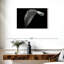Harnek lys Calla monochrome-108908723