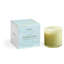 Wild Honeysuckle Classic Candle-1389704508
