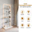 Display Cabinet-760619954