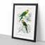 Parrot Illustrations by Charles d'Orbigny - Picture Frame Painting Print-55578389-55578387