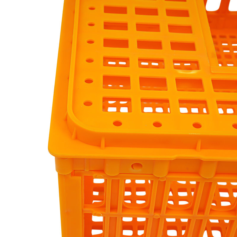 Cage de transport en plastique en plastique, Orange