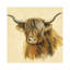 Highland Animal Cow by Silvia Vassileva - Wrapped Canvas Painting-96295106