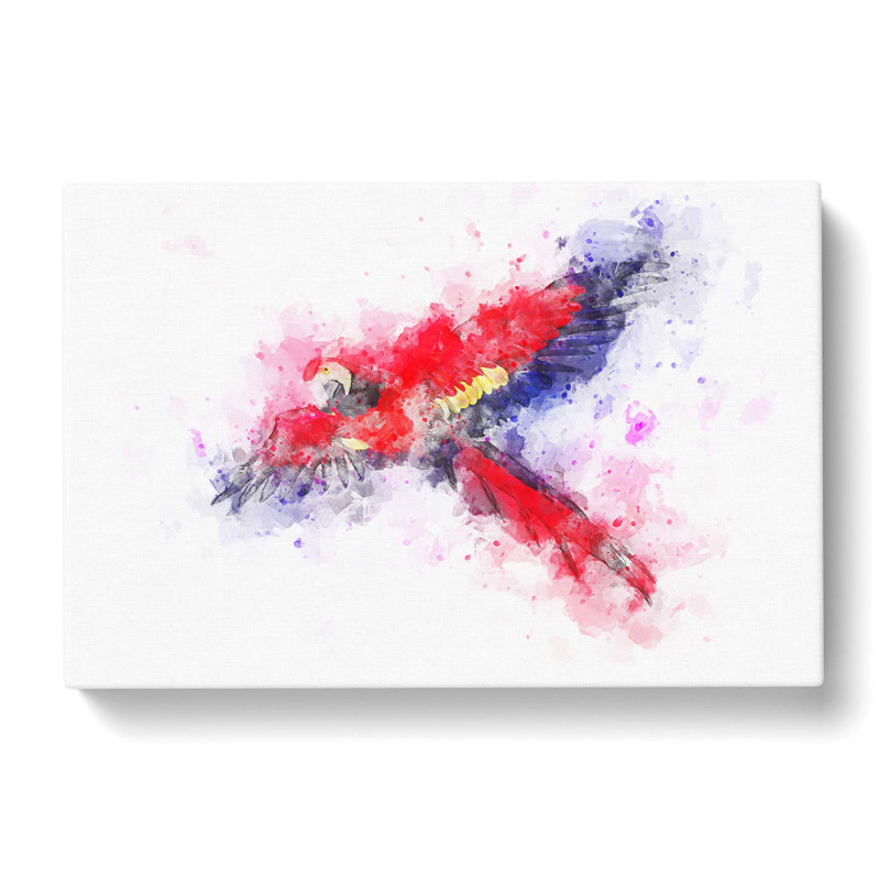 Macaw Parrot In Flight In Abstract - Wrapped Canvas Print, 35cm H x 50cm W x 3cm D